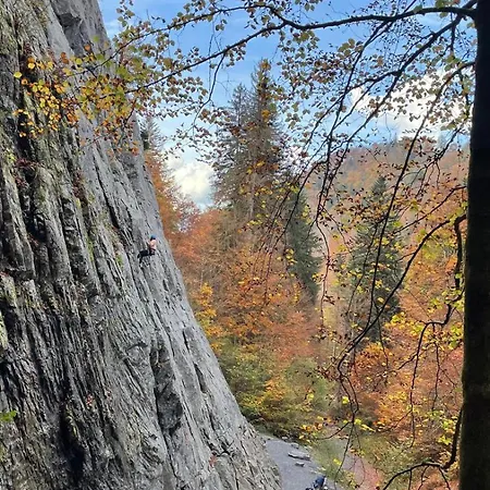 Nyaraló Caro, La Petite Maison *